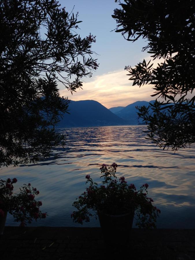 L'Oleandro Sul Lago D'Iseo B&B Sulzano Eksteriør bilde