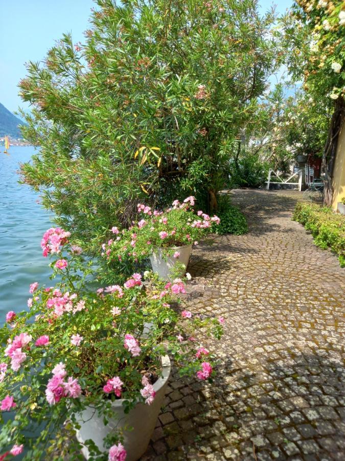 L'Oleandro Sul Lago D'Iseo B&B Sulzano Eksteriør bilde