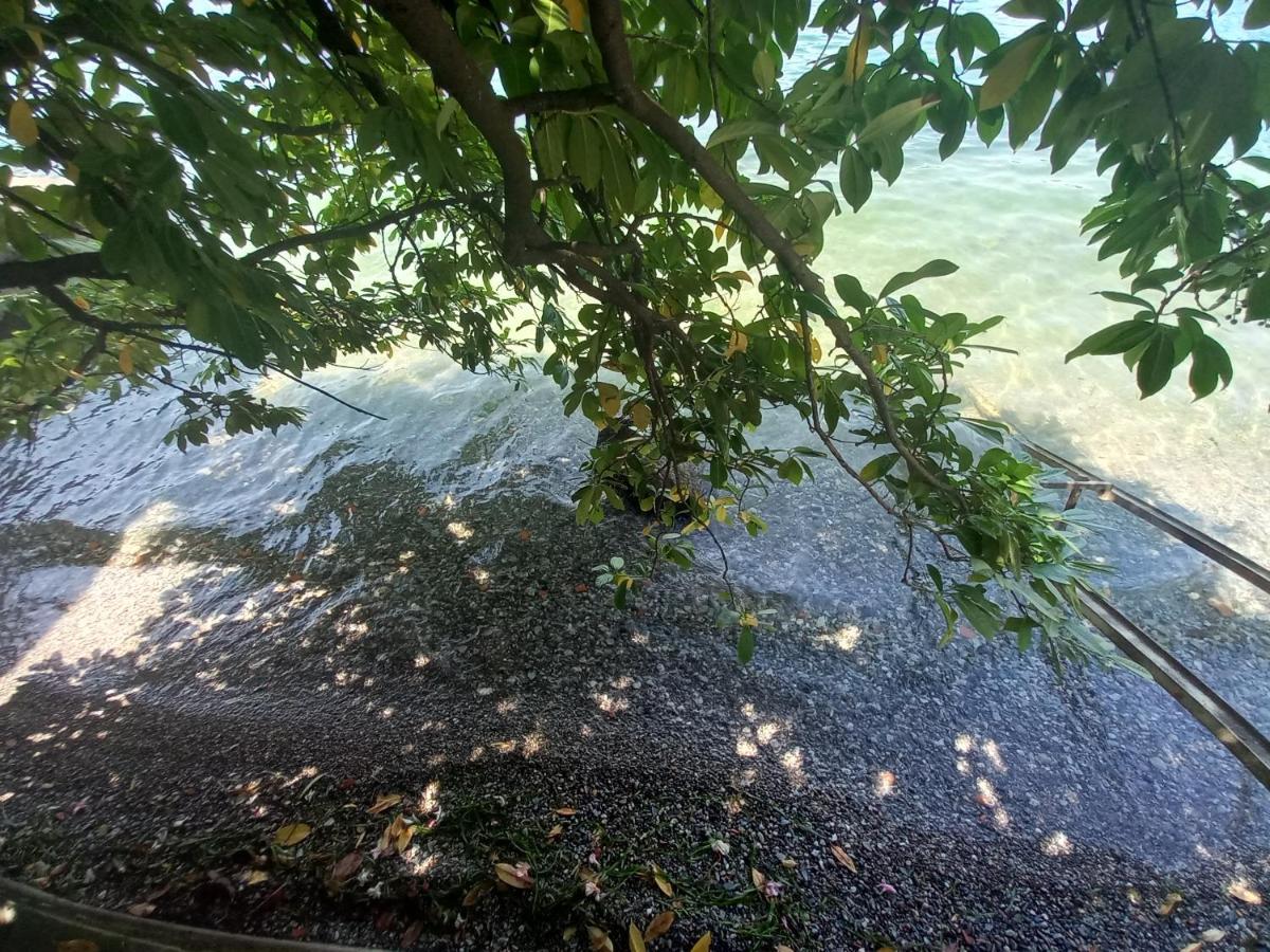 L'Oleandro Sul Lago D'Iseo B&B Sulzano Eksteriør bilde