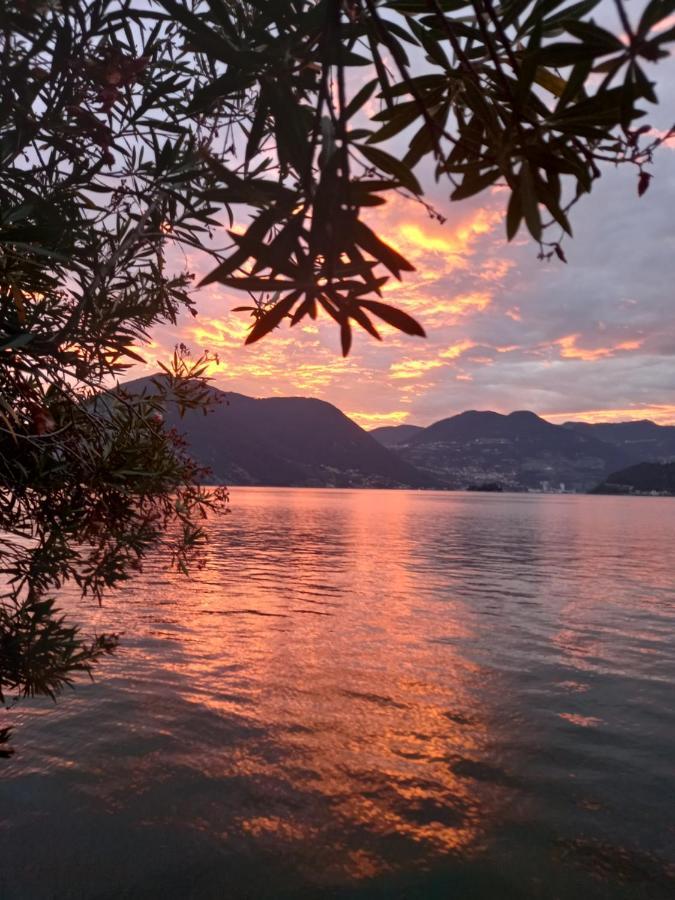 L'Oleandro Sul Lago D'Iseo B&B Sulzano Eksteriør bilde