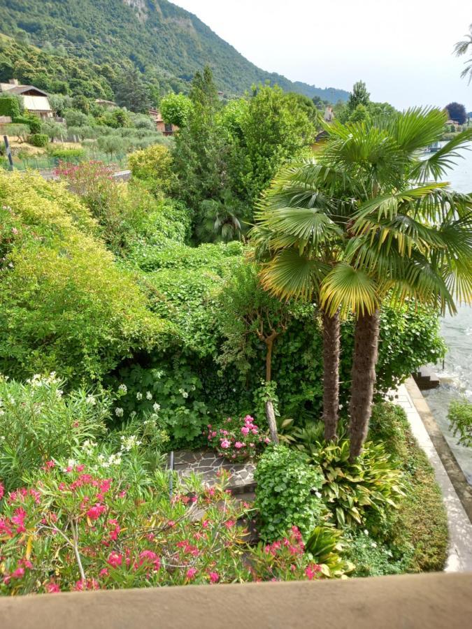 L'Oleandro Sul Lago D'Iseo B&B Sulzano Eksteriør bilde