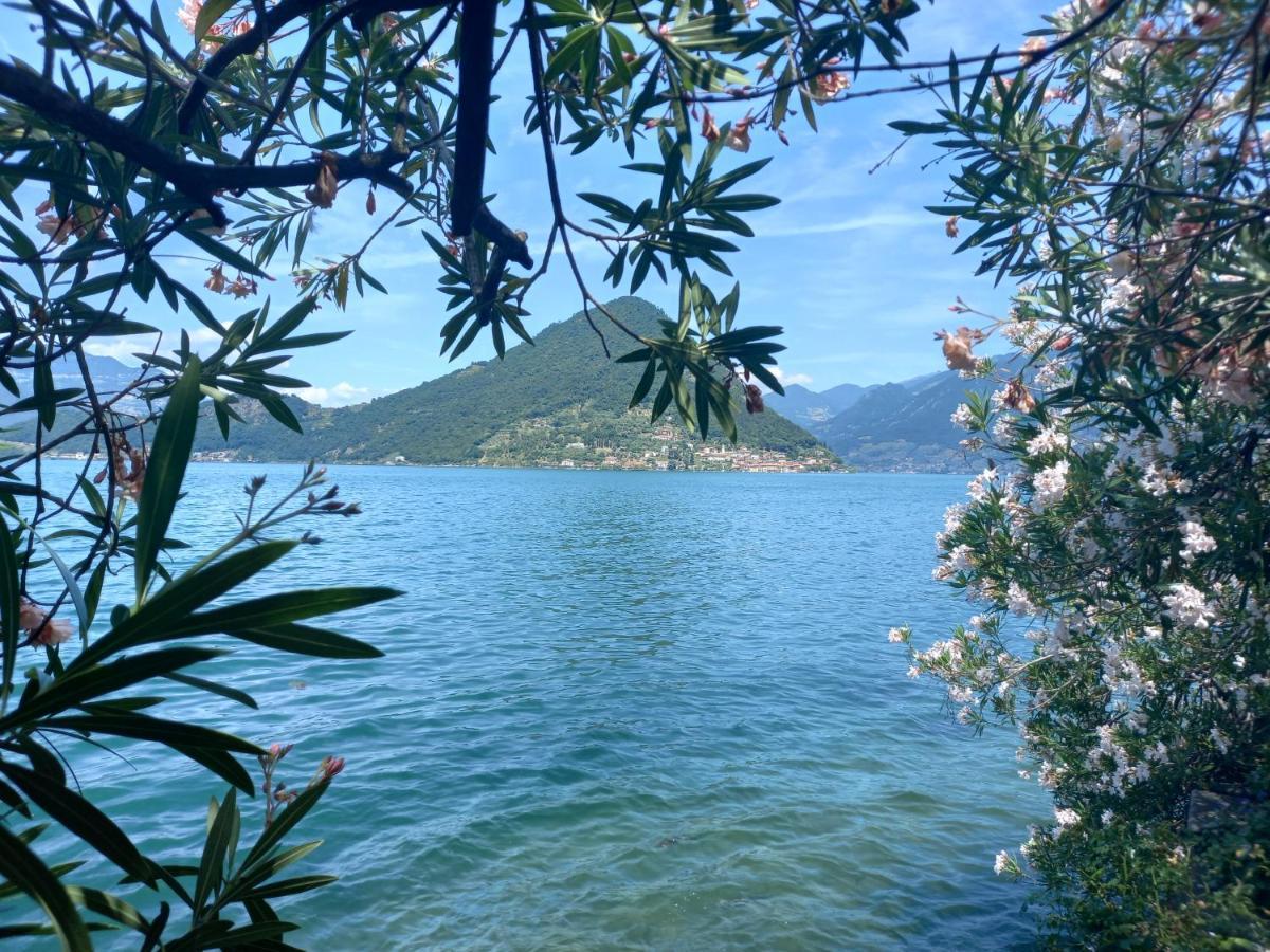 L'Oleandro Sul Lago D'Iseo B&B Sulzano Eksteriør bilde
