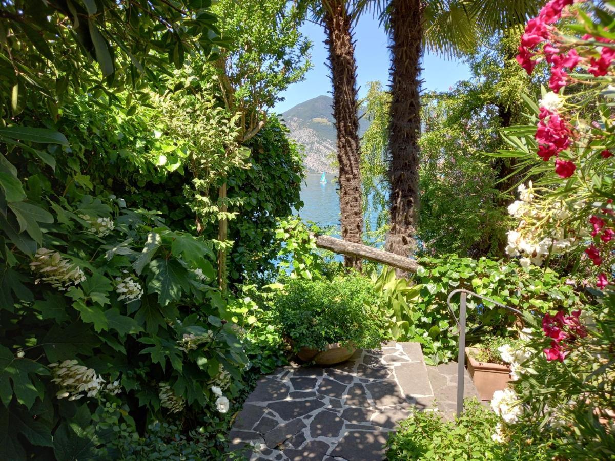 L'Oleandro Sul Lago D'Iseo B&B Sulzano Eksteriør bilde