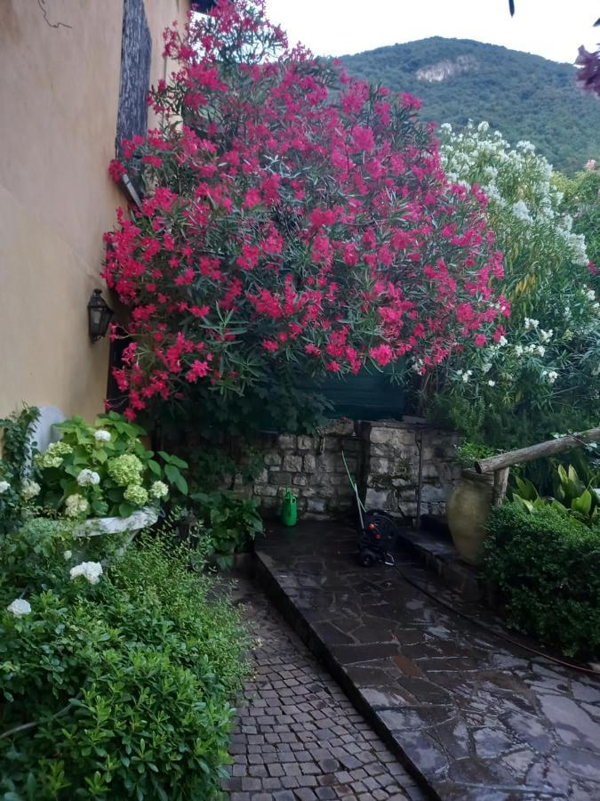 L'Oleandro Sul Lago D'Iseo B&B Sulzano Eksteriør bilde